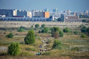 parcul-natural-vacaresti-o-oaza-in-desertul-de-beton-3041