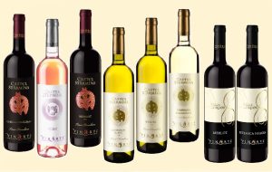 sticle-vinurile-vinarte-gama-enoteca1